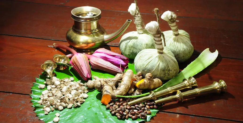 Kerala Healing Ayurveda Tour