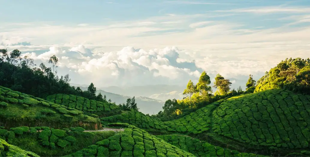 South India Cultural Tour