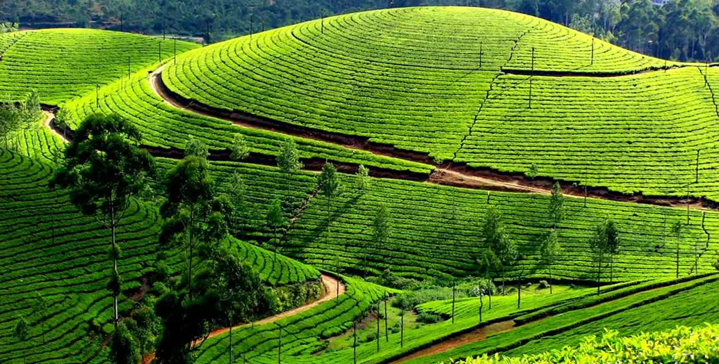 Golden Triangle with Kerala
